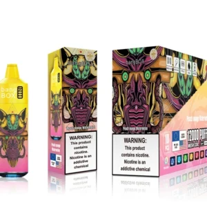 bangbox 12000 puffs disposable vape – multiple flavor