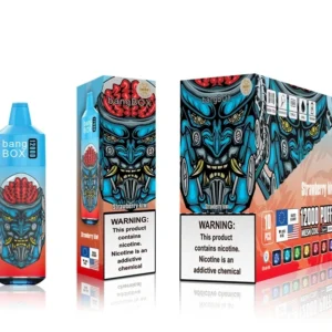 bangbox 12000 puffs disposable vape – multiple flavor