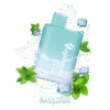 VAPEMAN - COOL MINT import placeholder for 8184553046311