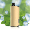 ALIBARBAR INGOT Cool Mint 9000 Puffs 3 pack on sale import placeholder for 31203