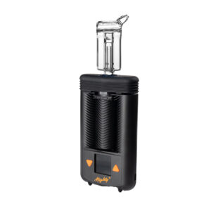 potv gordito mini glass bubbler