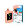STLTH 60K Disposable Vape - Juicy Peach Ice import placeholder for 9251694575864