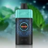 IGET One 12000 Mountain Spring Mint ice import placeholder for 20074
