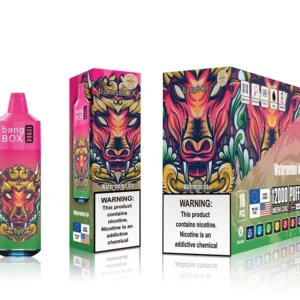 bangbox 12000 puffs disposable vape – multiple flavor
