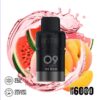 INTO V2 POD Watermelon Peach import placeholder for 16357