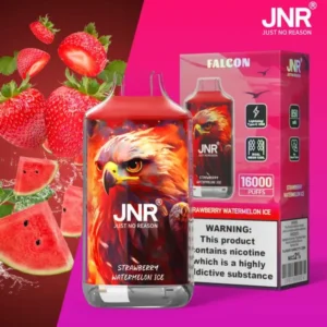 jnr falcon 16000 puffs 30 packs (ship from oversea)