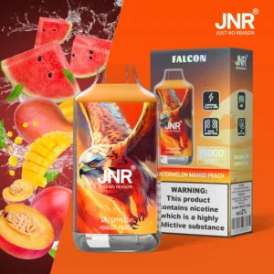 jnr falcon 16000 puffs 30 packs (ship from oversea)