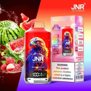 jnr falcon x 18000 puffs 30 pack (ship from oversea)